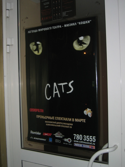 Cats (musical)